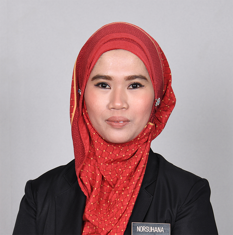 PUAN NORSUHANA BINTI SAMIN TAIB